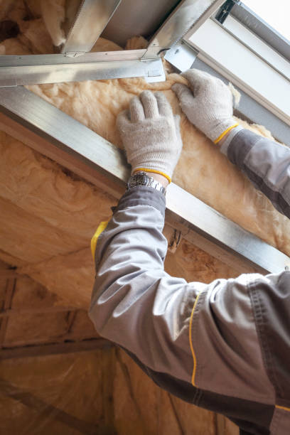Types of Insulation We Offer in Clearwater, FL