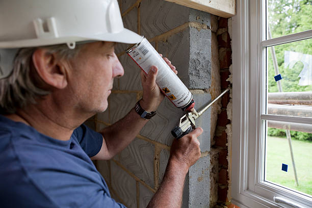 Best Eco-Friendly Insulation in Clearwater, FL