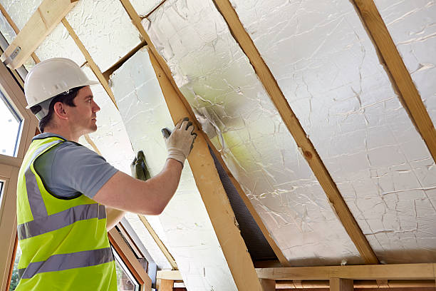 Professional Insulation Contractor in Clearwater, FL