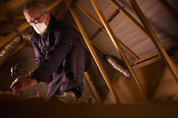 Best Commercial Insulation in Clearwater, FL