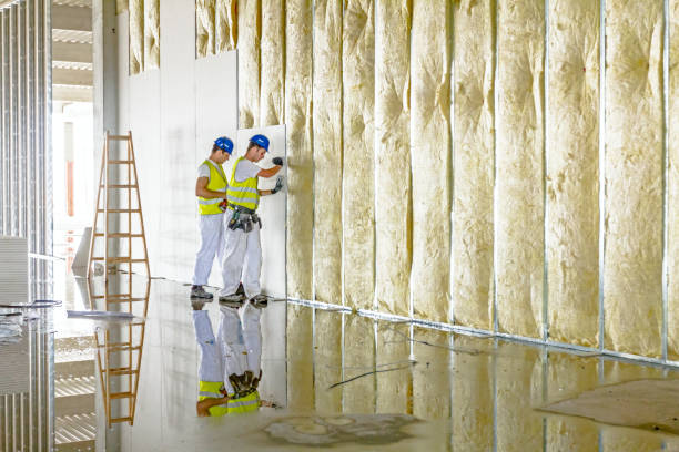 Best Blown-in Insulation in Clearwater, FL